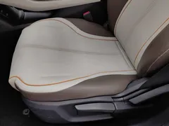2023 BYD Qin PLUS Champion DM-i PHEV 120km — фото 20
