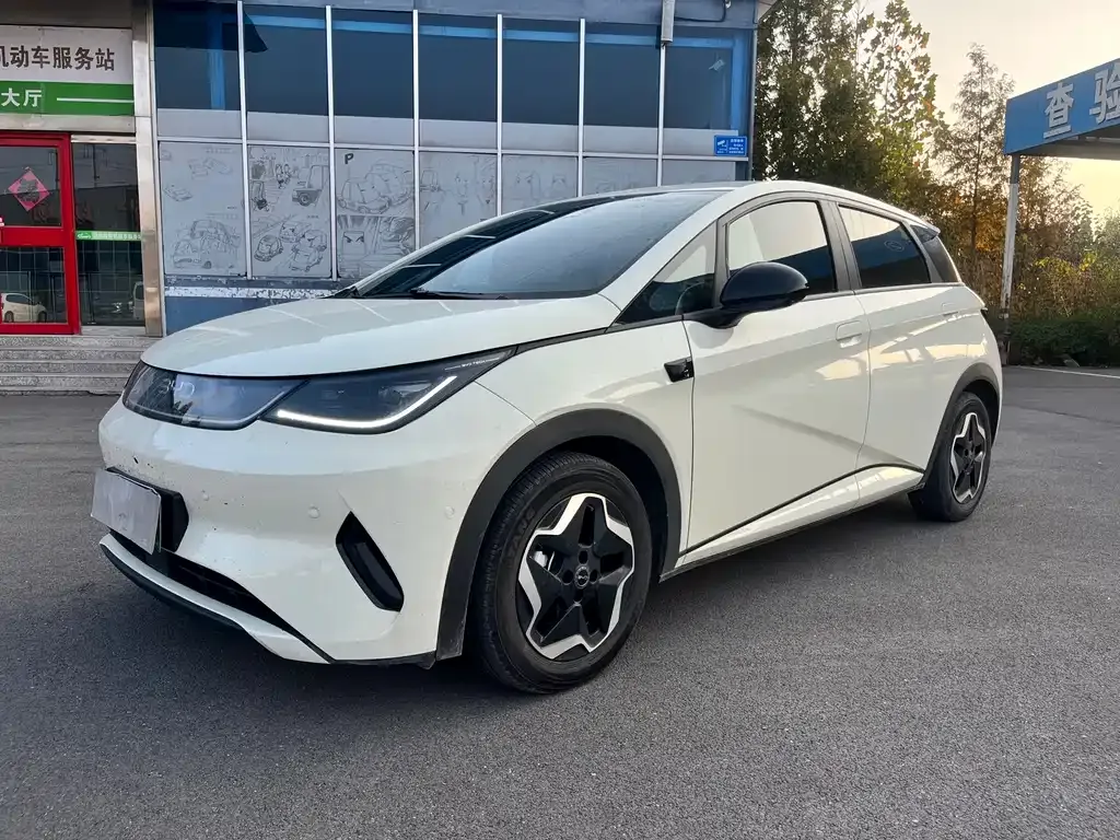 2025 BYD Dolphin Smart Driving 420km Freedom EV