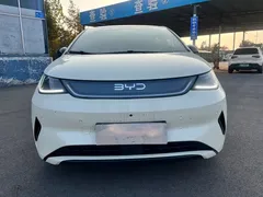 2025 BYD Dolphin Smart Driving 420km Freedom EV — фото 2