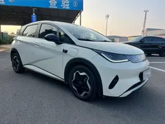 2025 BYD Dolphin Smart Driving 420km Freedom EV — фото 3