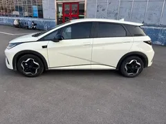 2025 BYD Dolphin Smart Driving 420km Freedom EV — фото 4