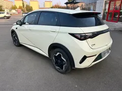 2025 BYD Dolphin Smart Driving 420km Freedom EV — фото 10