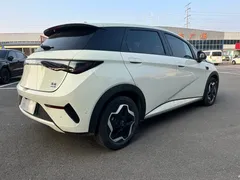 2025 BYD Dolphin Smart Driving 420km Freedom EV — фото 15