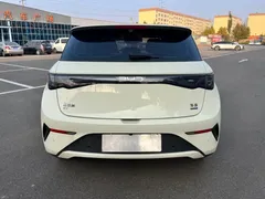 2025 BYD Dolphin Smart Driving 420km Freedom EV — фото 16