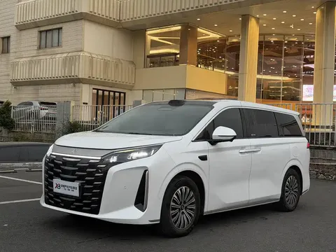 2026 BYD Xia DM-i PHEV 1.5T 218km Excellence