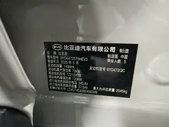 2025 BYD Sea Lion 05 DM-i PHEV Smart Driving 75KM Luxury — фото 11