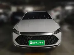 2024 BYD Qin PLUS DM-i 120KM Champion Edition Premium, белый — фото 2
