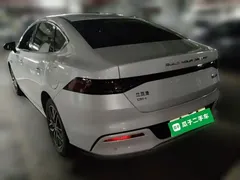 2024 BYD Qin PLUS DM-i 120KM Champion Edition Premium, белый — фото 4