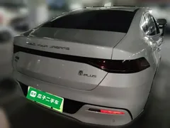 2024 BYD Qin PLUS DM-i 120KM Champion Edition Premium, белый — фото 5