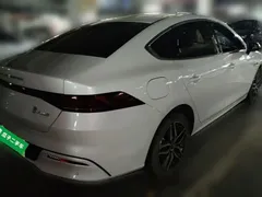 2024 BYD Qin PLUS DM-i 120KM Champion Edition Premium, белый — фото 6