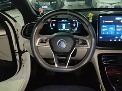 2024 BYD Qin PLUS DM-i 120KM Champion Edition Premium, белый — фото 11