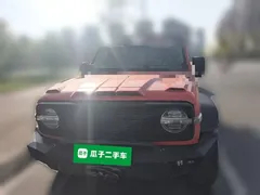2021 Tank 300 Off-road 2.0T Conqueror — фото 2