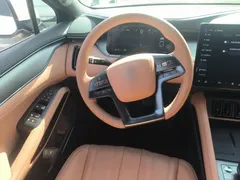 2024 BYD Song L EV 662km — фото 11