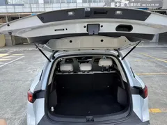 2025 BYD Yuan UP Smart Driving 401km Vitality, белый — фото 16