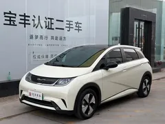 2023 BYD Dolphin 420km Fashion, белый — фото 1