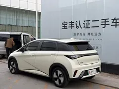 2023 BYD Dolphin 420km Fashion, белый — фото 9