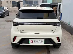 2023 BYD Dolphin 420km Fashion, белый — фото 10