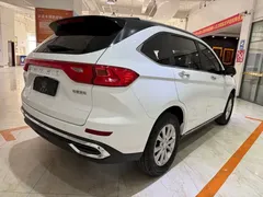 2021 Haval M6 Plus 1.5T DCT Luxury, белый — фото 4