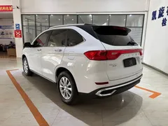 2021 Haval M6 Plus 1.5T DCT Luxury, белый — фото 6