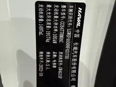 2021 Haval M6 Plus 1.5T DCT Luxury, белый — фото 19