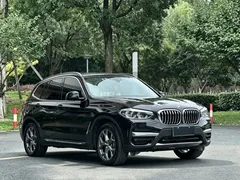 2021 BMW X3 Luxury, чёрный — фото 3