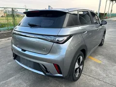 2023 BYD Dolphin 420km Fashion — фото 8