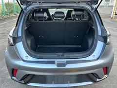 2023 BYD Dolphin 420km Fashion — фото 14