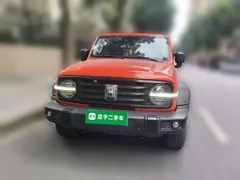 2021 Tank 300 Off-road 2.0T Conqueror — фото 2