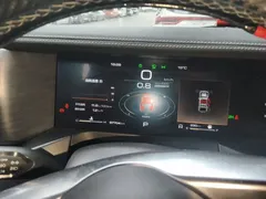 2021 Tank 300 Off-road 2.0T Conqueror — фото 12