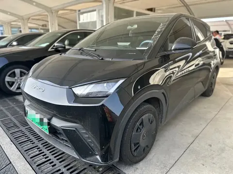 2023 BYD Seagull Vitality