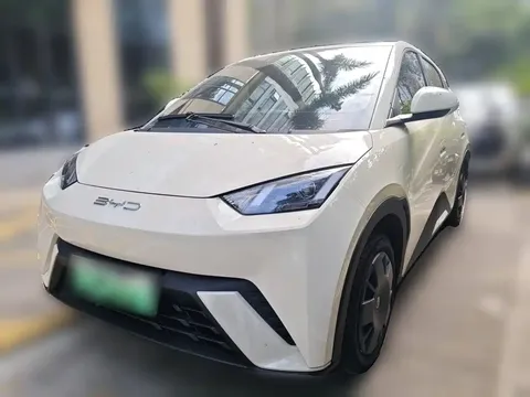 2023 BYD Seagull Vitality