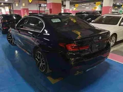 2021 BMW 5 Series 530Li Premium M Sport Package, чёрный — фото 9