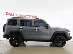 2021 Tank 300 Off-road 2.0T Conqueror — фото 4