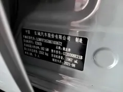 2021 Tank 300 Off-road 2.0T Conqueror — фото 16