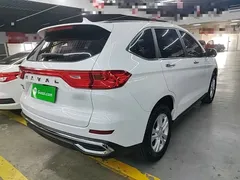 2023 Haval M6 Plus 1.5T DCT Elite, белый — фото 7