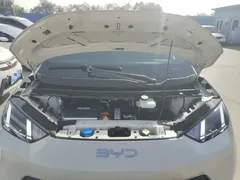 2024 BYD Seagull EV Glory 405km Flying, белый — фото 20