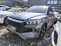 2024 BYD Song Pro Glory Edition DM-i PHEV 110km — фото 1