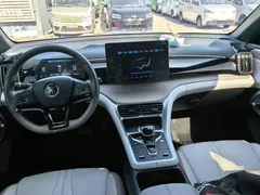 2024 BYD Song Pro Glory Edition DM-i PHEV 110km — фото 10