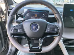 2024 BYD Song Pro Glory Edition DM-i PHEV 110km — фото 11