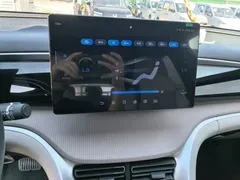 2024 BYD Song Pro Glory Edition DM-i PHEV 110km — фото 13