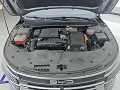 2024 BYD Destroyer 05 DM-i PHEV 55km Luxury — фото 10