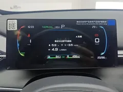 2024 BYD Destroyer 05 DM-i PHEV 55km Luxury — фото 14