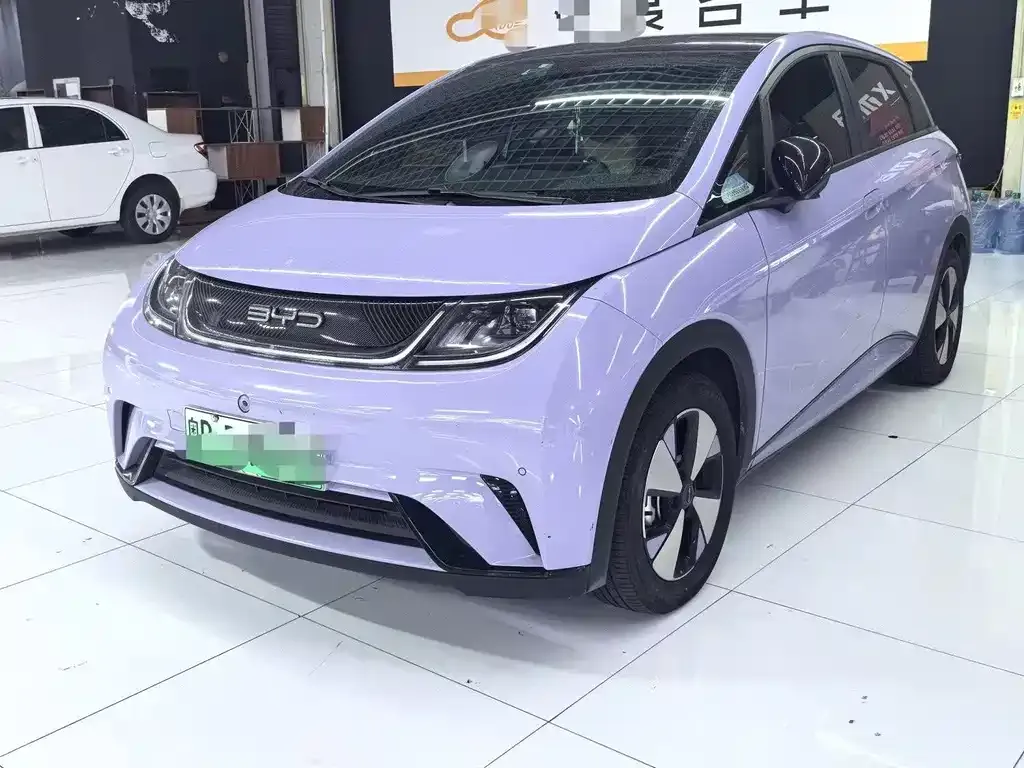 2023 BYD Dolphin 420km Fashion