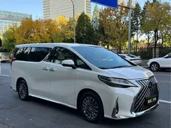 2020 Lexus LM 300h 4, белый — фото 11