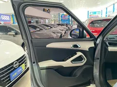 2024 BYD Yuan UP 401km Leading — фото 4