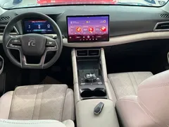 2024 BYD Yuan UP 401km Leading — фото 9