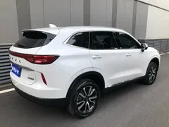 2022 Haval H6 3rd Gen 1.5T AT 2WD Max, белый — фото 13