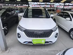 2021 Haval M6 PLUS 1.5T MT Luxury, белый — фото 3