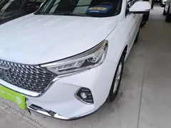 2021 Haval M6 PLUS 1.5T MT Luxury, белый — фото 24