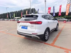 2021 Haval H6 1.5T AT Champion, белый — фото 7